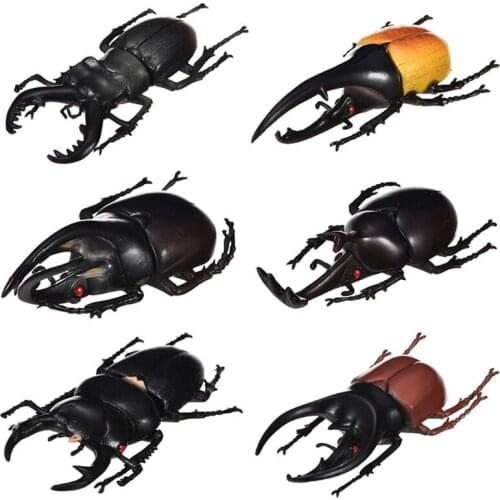 6pcs/set Simulation Solid Static Insect Model Ornaments Realistic Beetle Toy GXMB