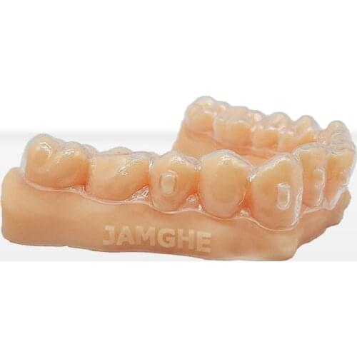 Dentist Orthodontic Teeth Model Photosensitive Resin 405nm for DLP LCD SLA 3D Printers FEDEX Shipping