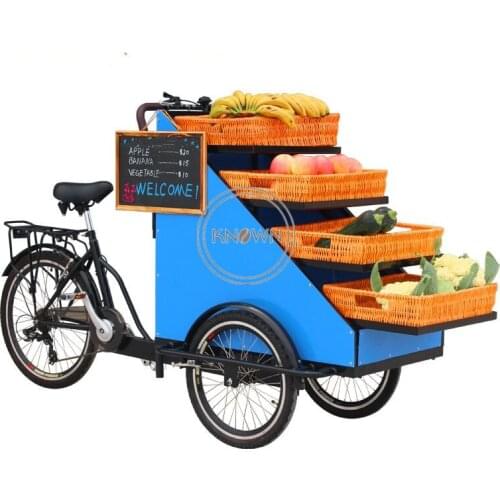 Electric 3 Wheel Adult Cargo Bike Newspaper Flower Fruit Vegetables Vending Bicycles Outdoor Trycicles