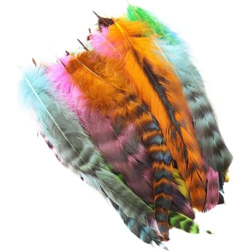 50Pcs/Bag Natural Rooster Feathers Dyed 4-6inch Decorative for Crafts DIY Clothing Dress Sewing Dreamcatcher Material Plumes