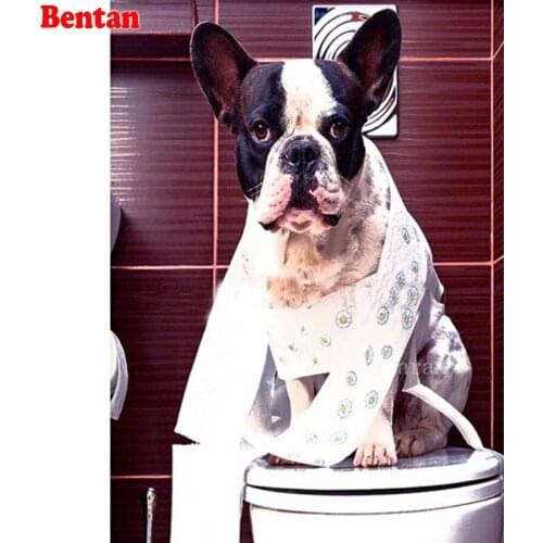 5D Diamond embroidery Diamond mosaic Diamond painting French bulldog toilet decoration full round square drill Sale Decoration