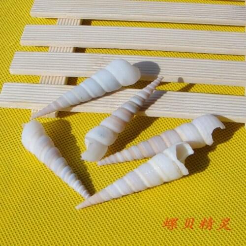 HappyKiss 20pcs/lot Natural conch shell white oncomelania screw white at home fish tank decoration screw
