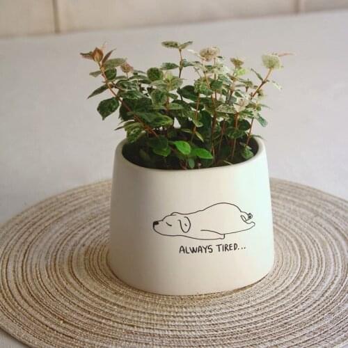 Creative Flowerpot Nordic Style Simple Cute Dog Pattern Irregular Small Potted Flowerpot Succulent Basin Pot Indoor Planter