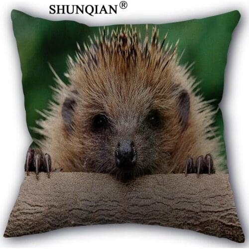 New Arrival Hedgehog Custom cotton Pillowcases zipper Custom Pillow Case More Size Custom your image gift