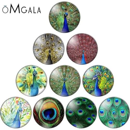 Colorful Peacock Birds feather Pattern 10pcs 12mm/14mm/18mm20mm//25mm Round photo glass cabochon demo flat back Making findings