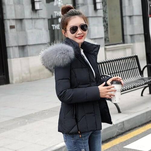 Hot!Fake Fox Fur Collar Winter Coat Women 2019 New Fashion Winter Jacket Women Parka Long Down Jacket Female Warm Outerwear