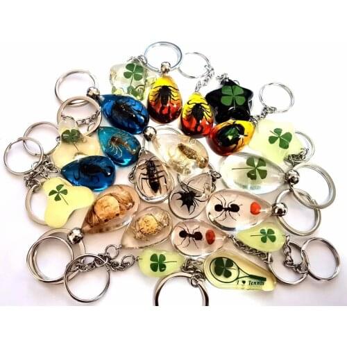 22 pcs fashion real scorpion cran ant four leaf clover spider glow lucid back keychain