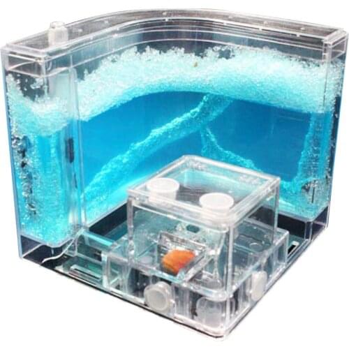Ant Home Observation Maze Science Education Accessory Transparent Habitat Funny Art Decoration Feeding Area Specially Kids Gift