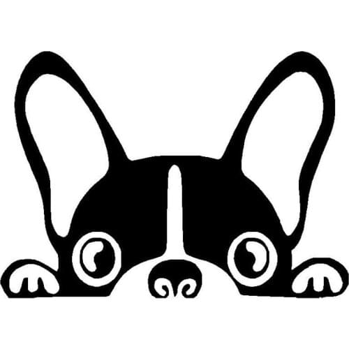 Lifelike Car Sticker Decals Boston Terrier Dog Vinyl Decal Cute Funny Peep Animal Bumper Windshield Accessories Pvc 15*11cm