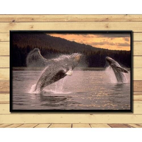 Humpback Whale Ferocious Giant Marine Animal (17) Wall Posters Prints Silk Art Painting For Home Wall Bedroom Decor