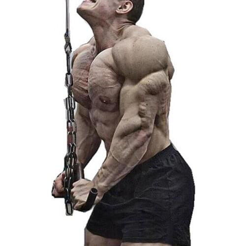 RQRRSQ Men's Sports Shorts