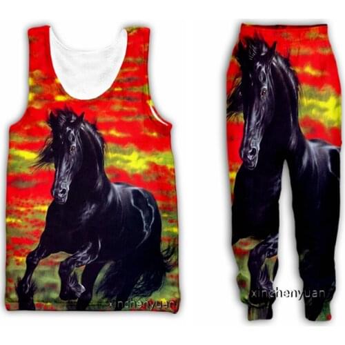 Xinchenyuan New Men/Women 3D Printed Anime Horse Casual Clothing Fashion Streetwear Men Loose Sporting Vest and Pants K06