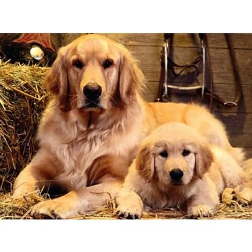 Needlework Full Diamond Embroidery Two Dogs Square Drill Animal Dog Rhinestone Diamond Painting Cross Stitch Mosaic Picture