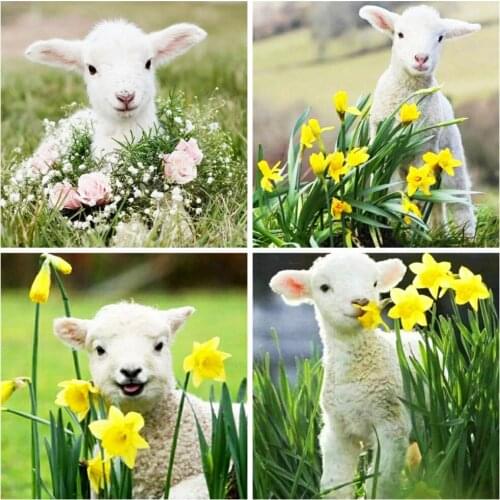 EverShine DIY Diamond Painting Animals Cross Stitch Diamond Embroidery Sheep New Arrival Flowers Rhinestone Pictures Hobby