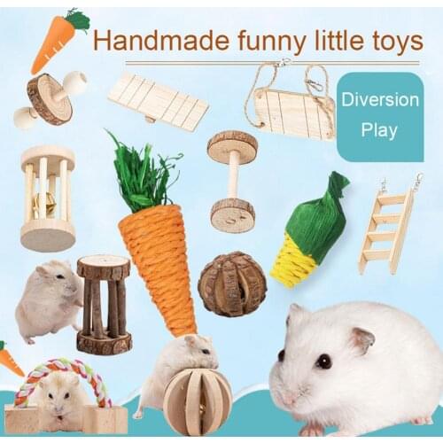Hamster Rabbit Chew Toy Natural Wooden Hamster Chew Toys Small Pets Molar Exercise Toys Cleaning Radish Molar Carrot Grind Teeth