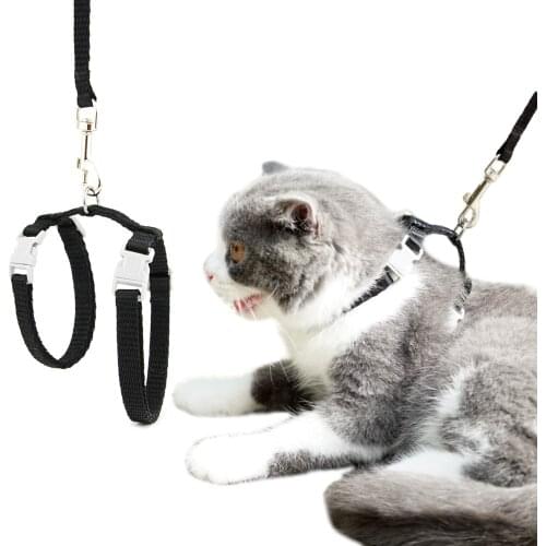 Cat Dog Collar Harness Leash Adjustable Nylon Pet Traction Cat Solid Halter Collar Cats Products Pet Harness Belt for Size M