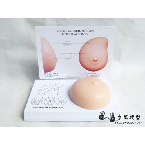 Pathological breast model Breast self-examination model Breast lumps and soft silicone medical teaching model