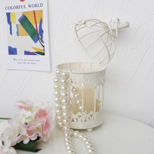 Samll Outdoor iron garden wrought metal birdcage white bird cage with Bird hook decoration hanging flowerpot succulent plants