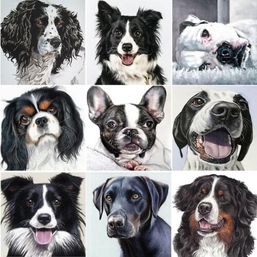 DIY 5D Diamond Painting Animals Dog Cross Stitch Kit Full Drill Square Embroidery Mosaic Art Picture of Rhinestones Handicrafts