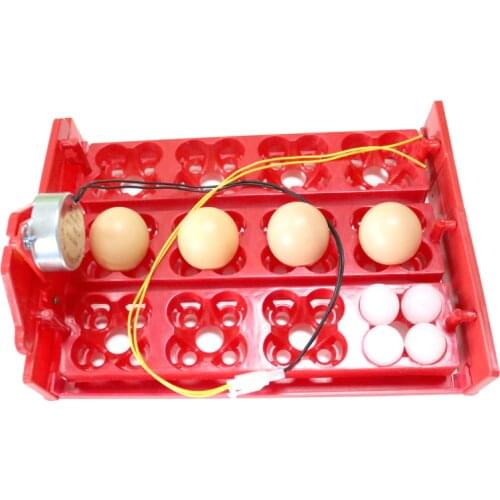 12 Eggs/48 Birds Eggs Incubator Turn Eggs Tray 220V/110V/12V Chicken Bird Automatic Incubator Poultry Incubator Equipment