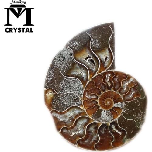 A pair of Natural Ammonite Fossil Specimen Shell conch Nautilus Pompiplius Ocean jasper Fish Tank Stones Healing about 30mm
