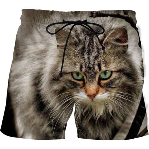 2021 new animal cat mens shorts fashion harajuku print man swimsuit casual shorts male female beach short pants swim shorts