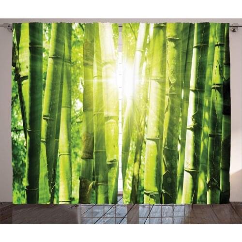 Green Curtains Asian Bamboo Forest with Morning Sunlight and Sun seenThrough Trees Jungle Scene Living Room Bedroom Curtain