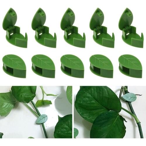 50PCS Plant Bracket Invisible Wall Rattan Clamp Clip Invisible Wall Vine Climbing Sticky Hook Self-Adhesive Plant Fixer Stent