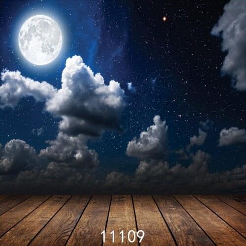 Moon and Cloud Party Prom Photography Backdrops for Photo Studio Portrait Children Photo Shoot Vinyl Cloth Printed 3D Background