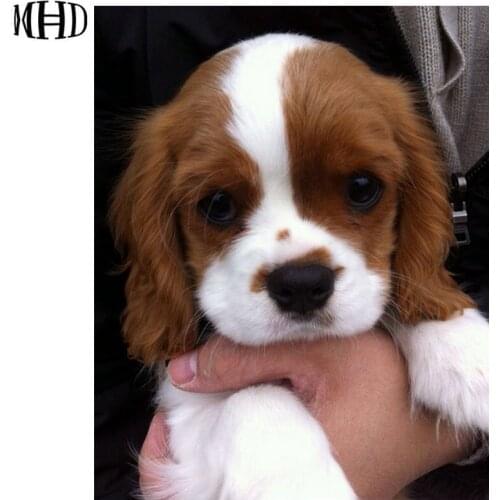 New DIY Diamond Painting Cross Stitch Animal Full Square & Round 3D Diamond Embroidery Crystal Diamond Painting Cute Dog