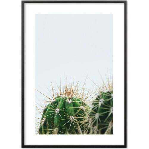 Natural Cactus Plants Botanical Nordic Wall Art Print Paper Painting Poster And Prints Wall Pictures For Living Room Decor