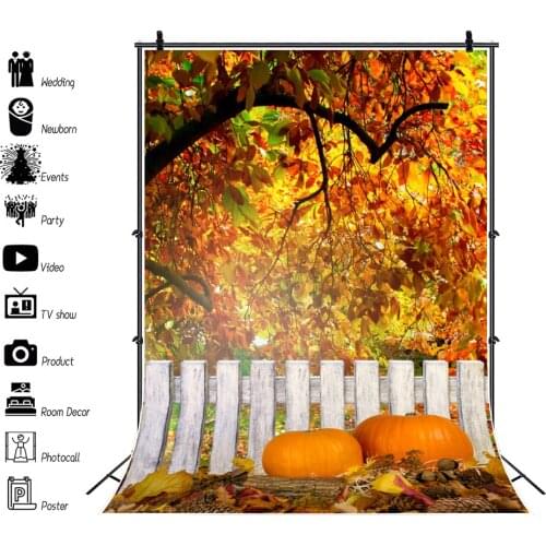 Yeele Autumn Scene Backdrop Baby Birthday Photography Pumpkin Maple Portrait Background Photographic For Photo Studio Photocall