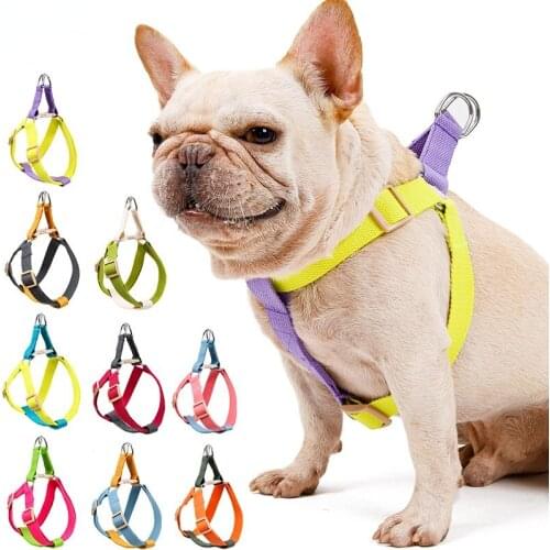 Dog Vest Harness Leash Colorful Traction Rope Vest Pet Dog Harness For Dogs Pull Adjustable Dog Collar