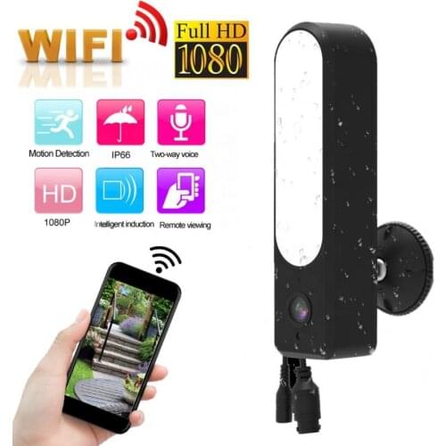 Wifi Tuya Courtyard Light Camera 1080P HD Video Smart Remote Control Motion Detect Outdoor Waterproof Support Hidden TF Card