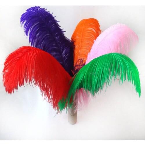 EMS Free shipping Ostrich Feathers 50pcs(mix two color) 60-65cm 24-26 inches ostrich drab feather for wedding center pieces