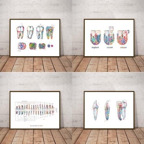 Human Teeth Diagram Prints Dental Clinic Wall Art Medical Education Chart Biology Posters Canvas Painting Doctor Office Decor