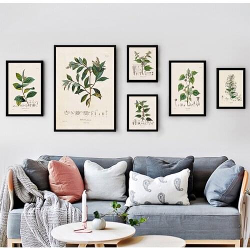 Canvas Painting Botany Wall Art Pictures Decor Botanical Studies Vintage Posters and Prints Antique French Plant Illustrations